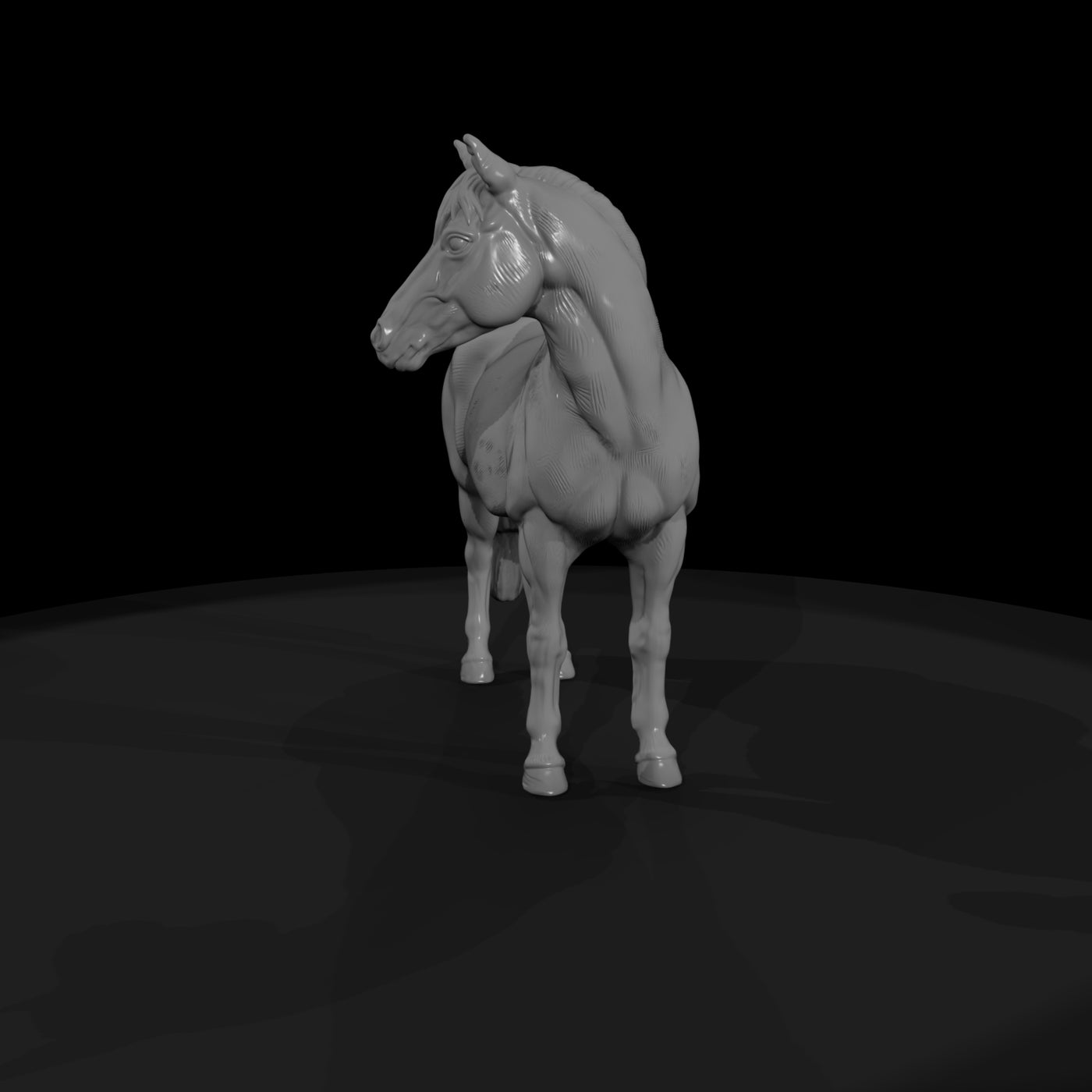 ww-0291-animal-pinto-pony