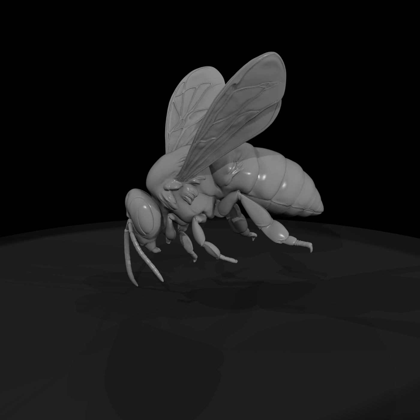 Honey Bee — Detailed Landing Pose & Displays