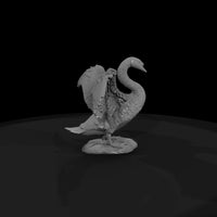 ant-121-mute-swan-male — thumbnail 4