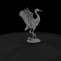 ant-130-sandhill-crane-male — thumbnail 4