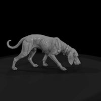 ww-0307-animal-hound-dog — thumbnail 4