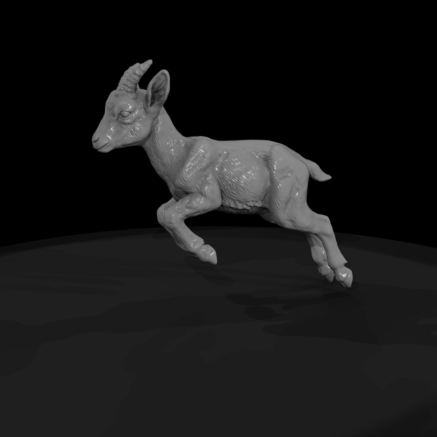 ant-282-markhor-adolescent
