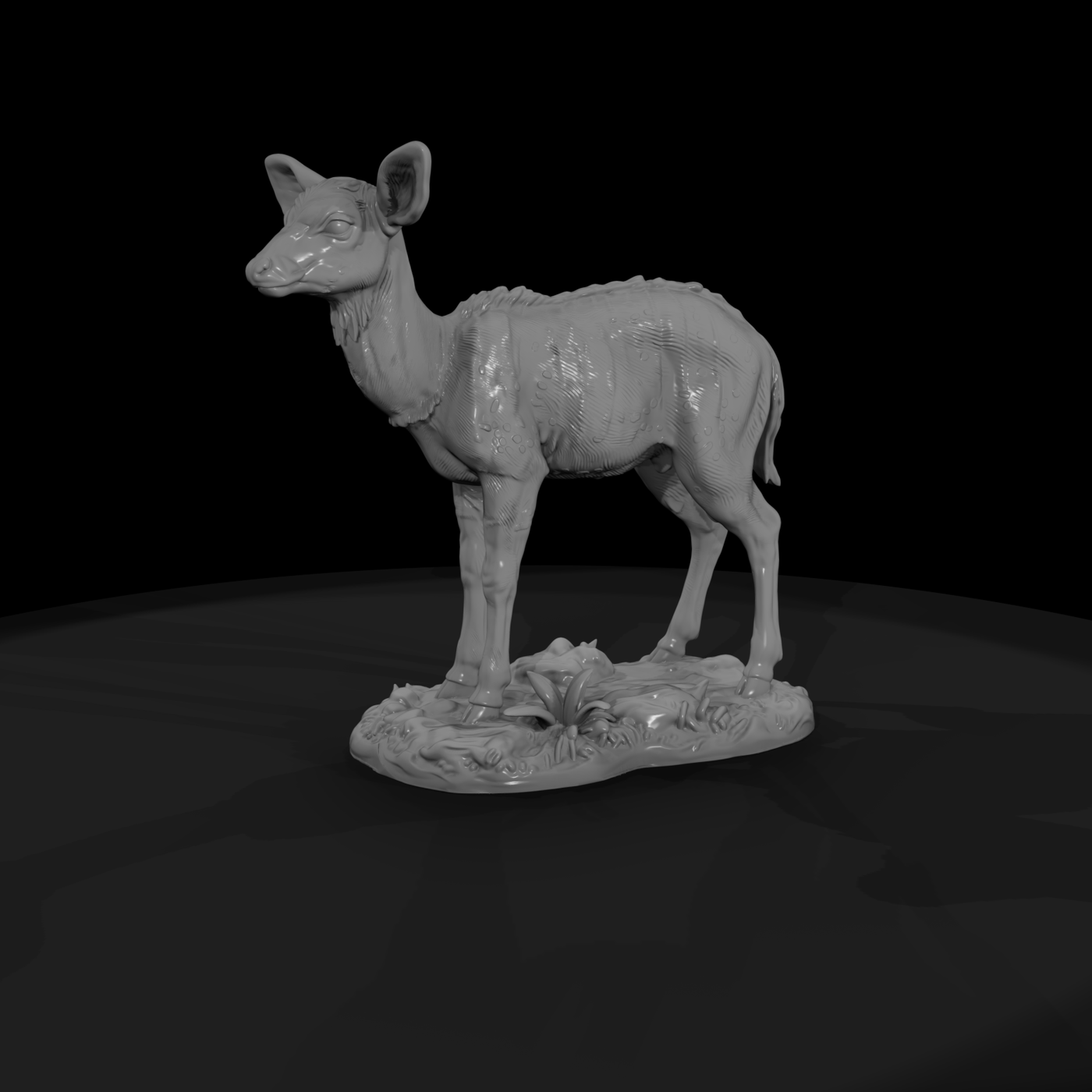 Young Nyala Antelope