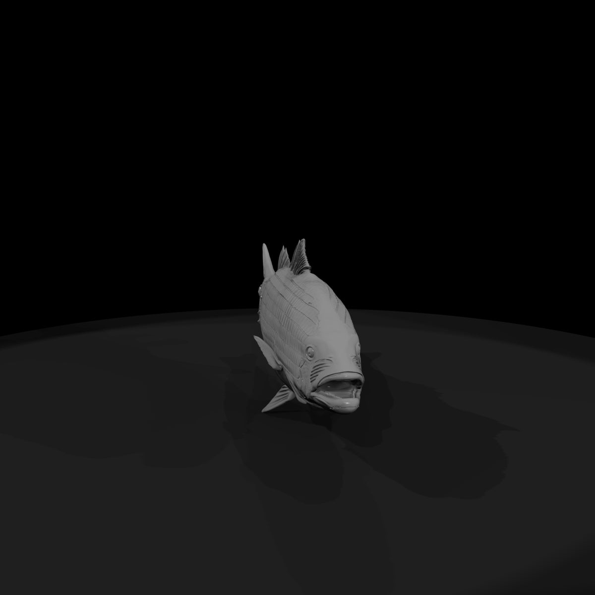 stylized_striped_bass_3d_fish_model_nan68mvk