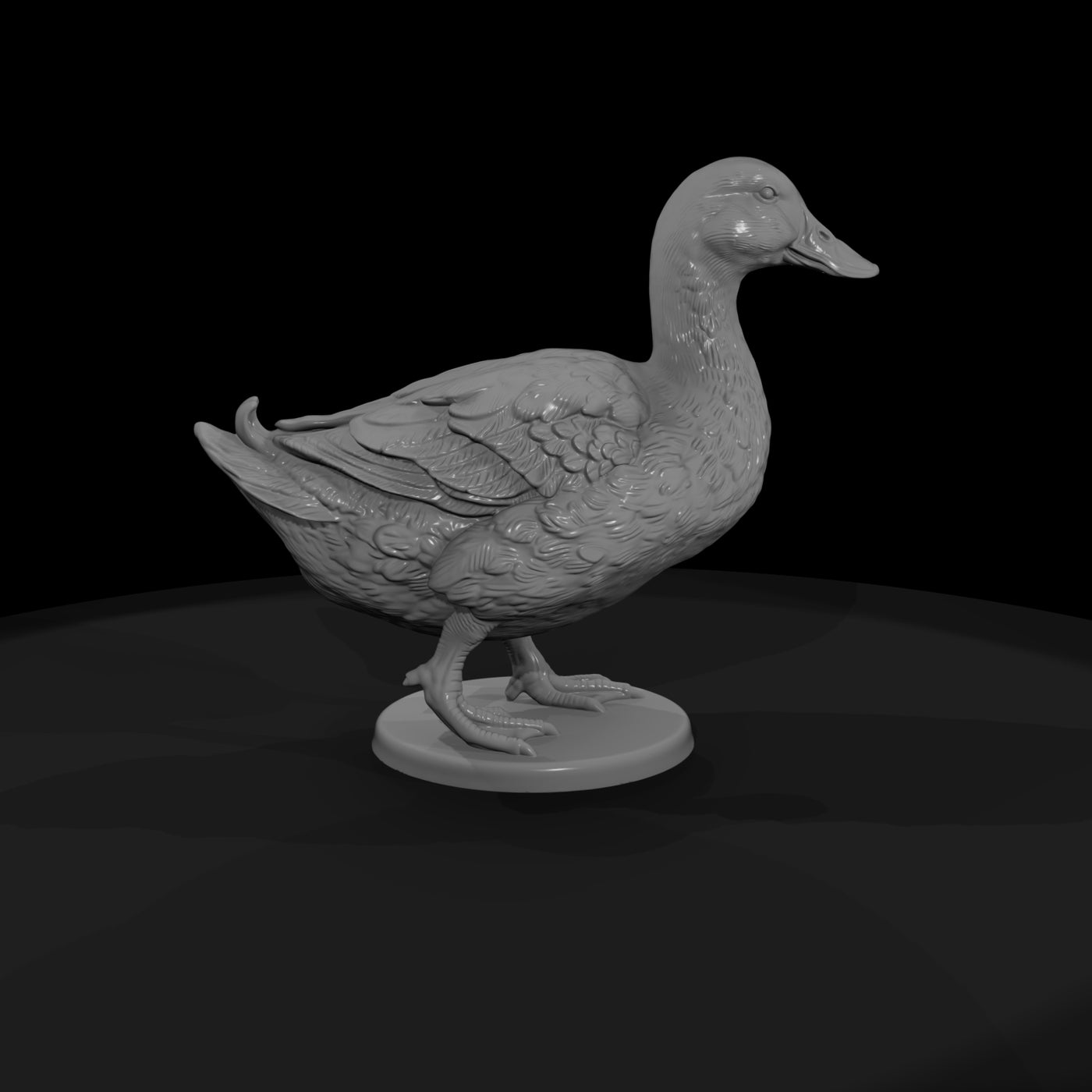 ww-0310-animal-duck