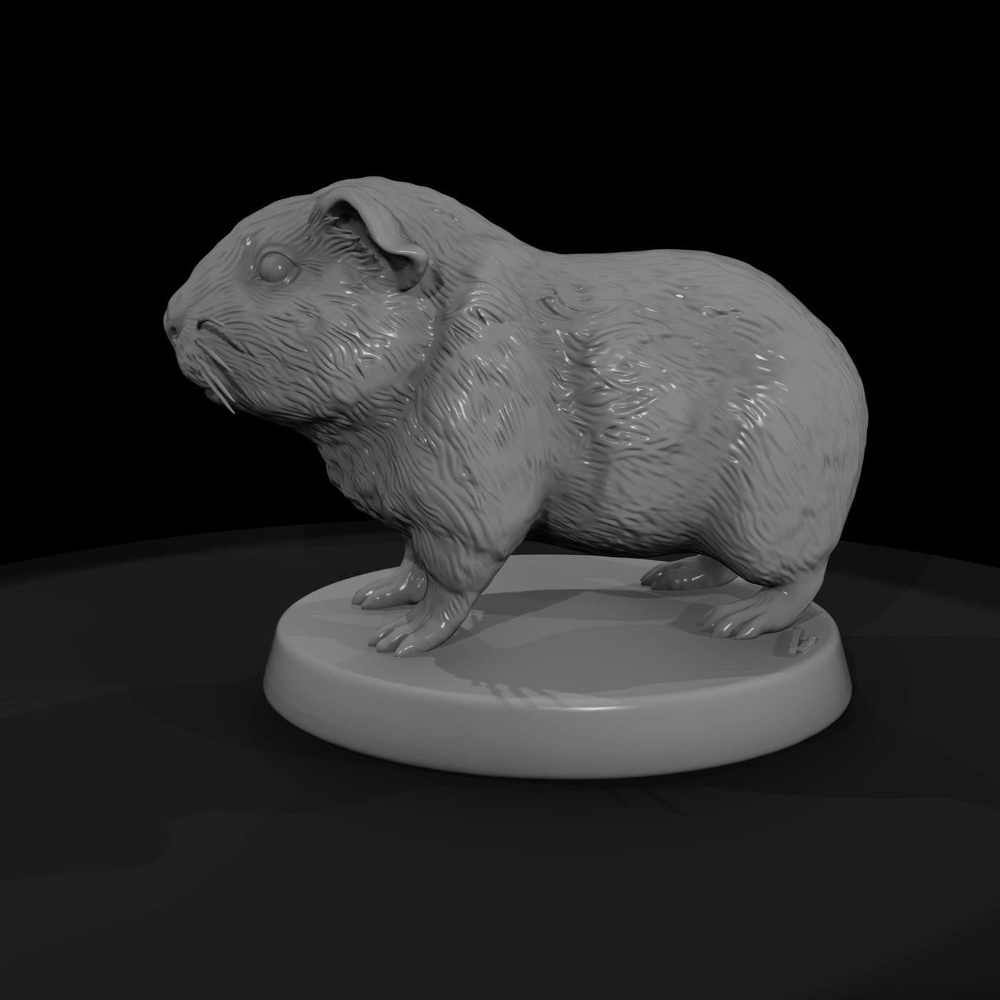 anim-27-guinea-pig-4a4412
