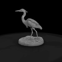ant-290-great-blue-heron-female — thumbnail 4