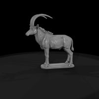 ant-232-sable-antelope-male — thumbnail 4