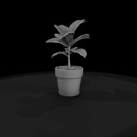 stylized-monochrome-potted-fiddle-leaf-fig-socjkaw — thumbnail 4