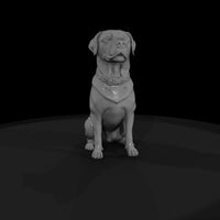 dog-hunting — thumbnail 6