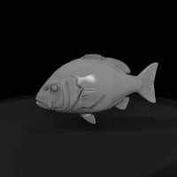 snapper-fish-miniature-for-dioramas-914452 — thumbnail 5