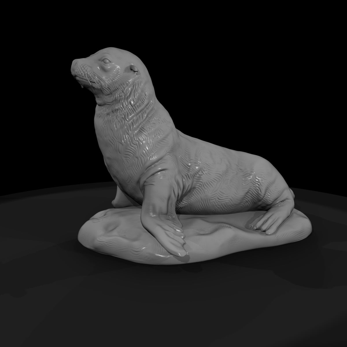 ant-140-sea-lion-female