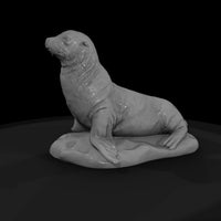 ant-140-sea-lion-female — thumbnail 4