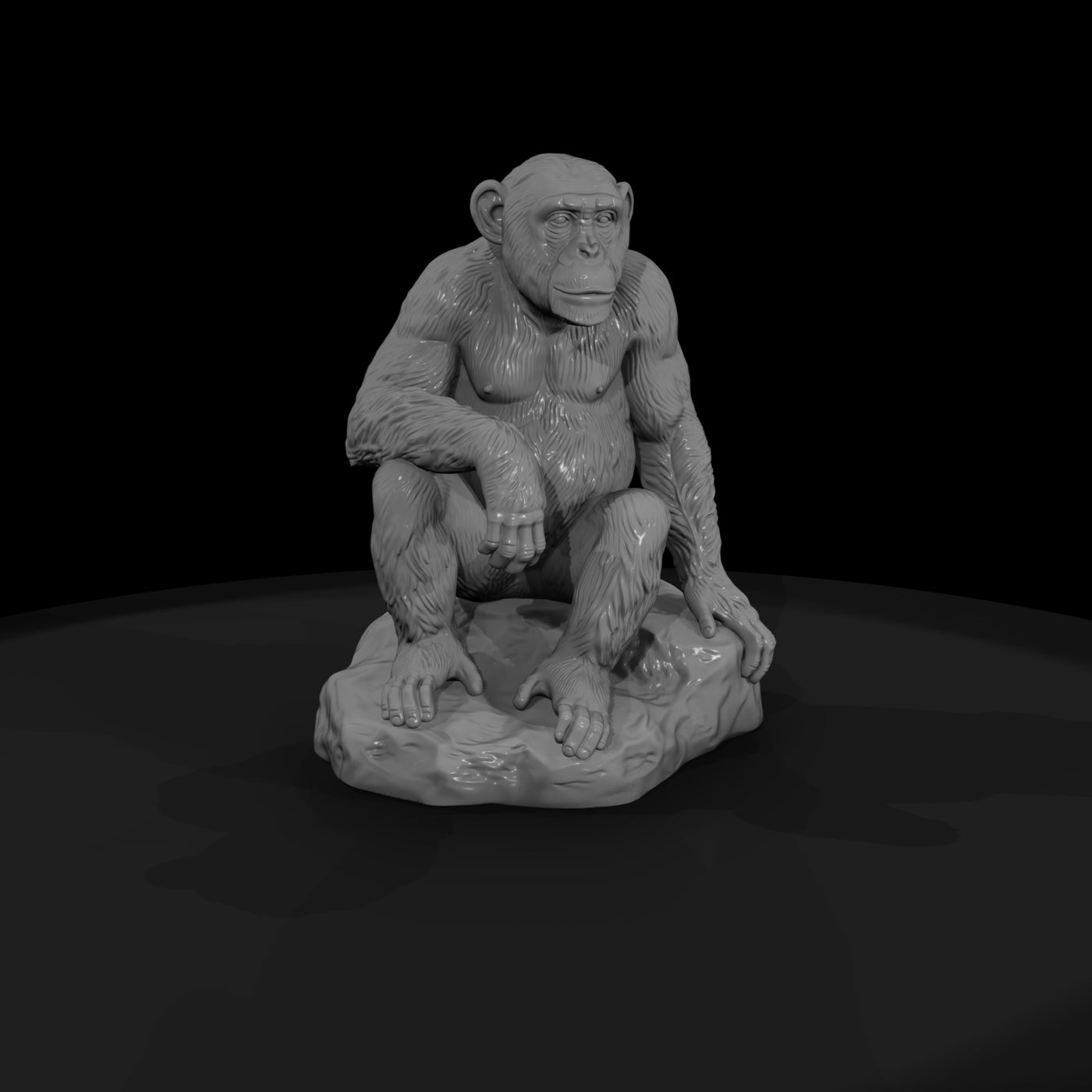 ant-194-chimpanzee-female