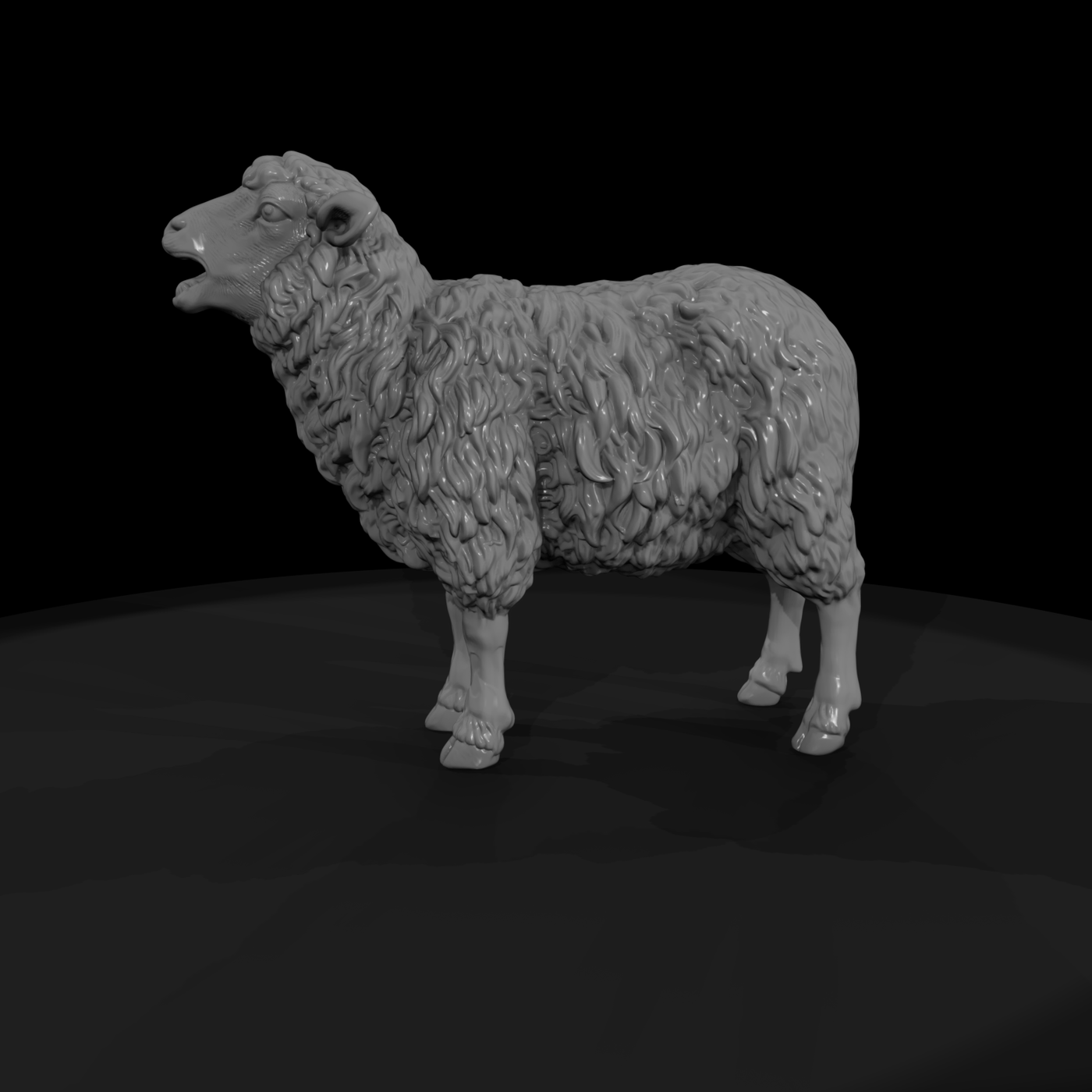 Ww 0304 Animal Ewe