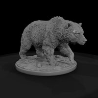 ant-020-grizzly-bear-female — thumbnail 4