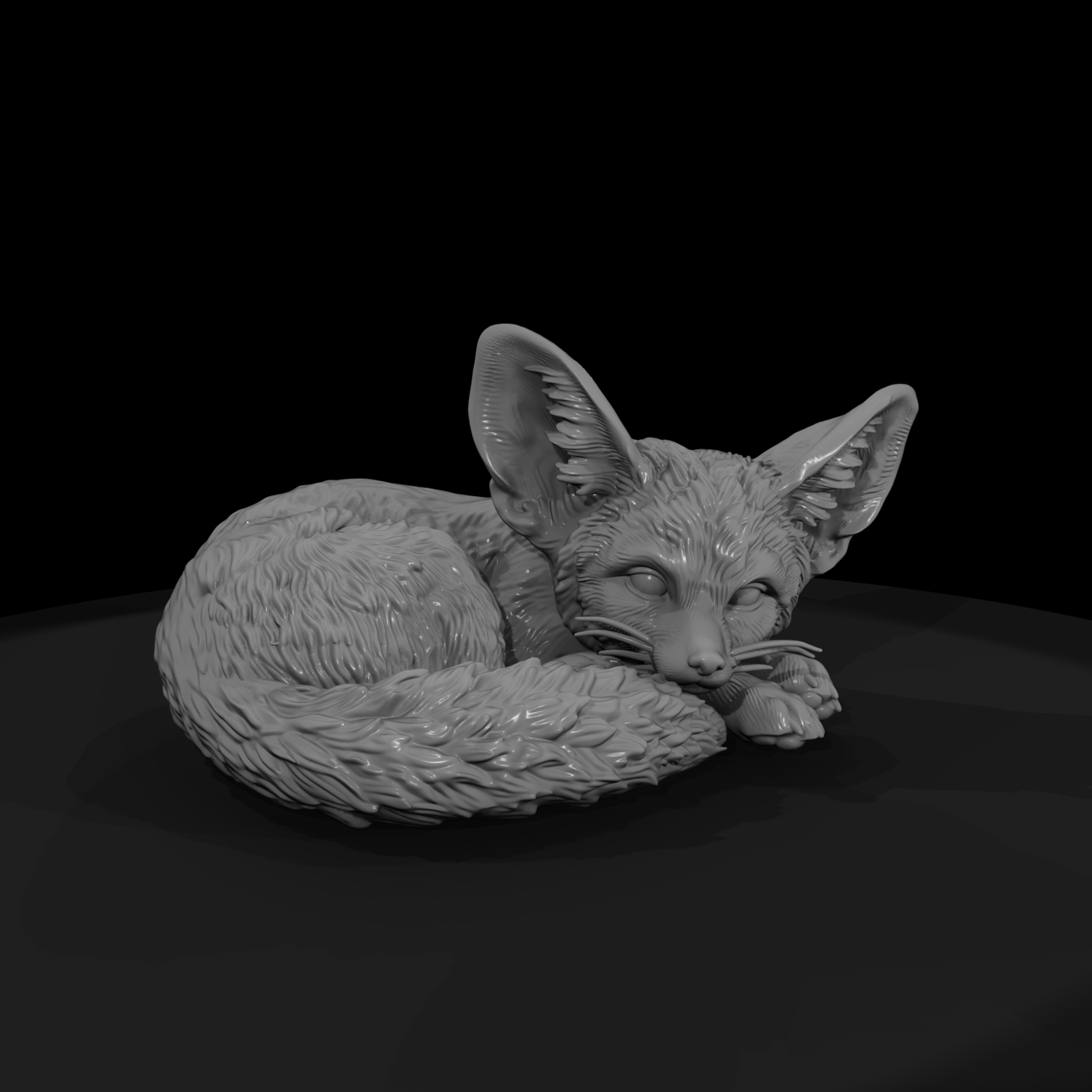 Curled-Up Fennec Fox