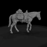 ww-0281-animal-packhorse — thumbnail 4