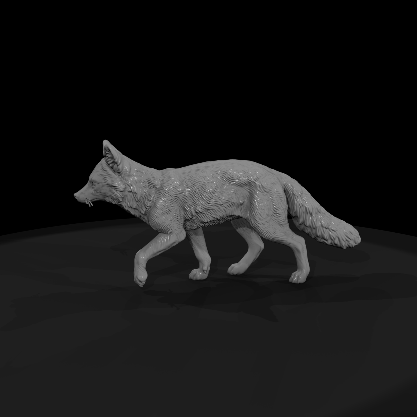 Ww 0325 Animal Gray Fox