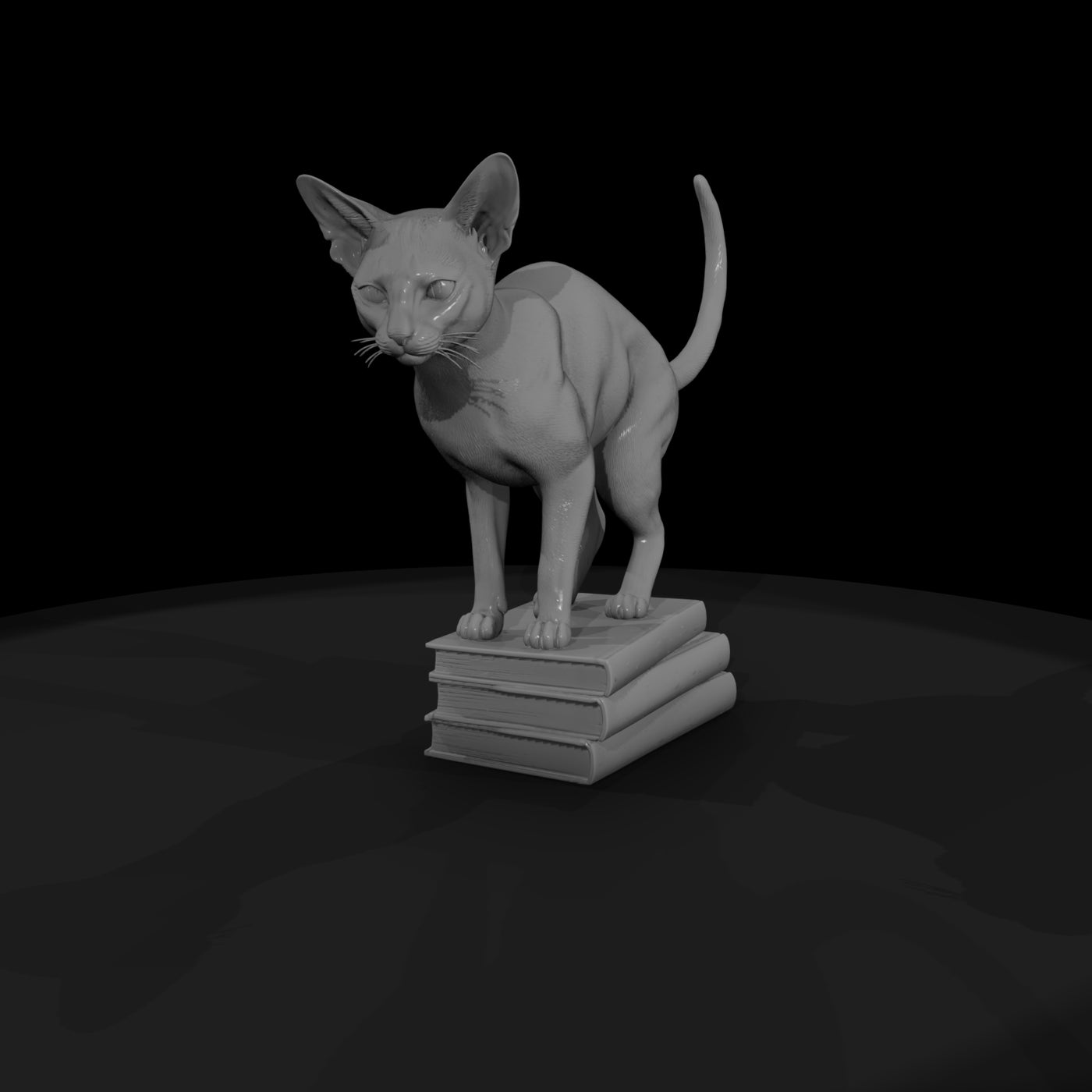a-collection-of-housecats-abyssinian-77110fe8-mesh