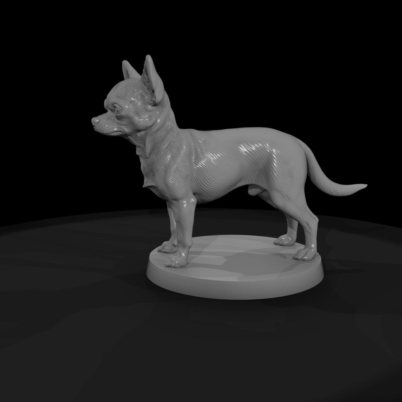 anim-09-chihuahua-039f8c