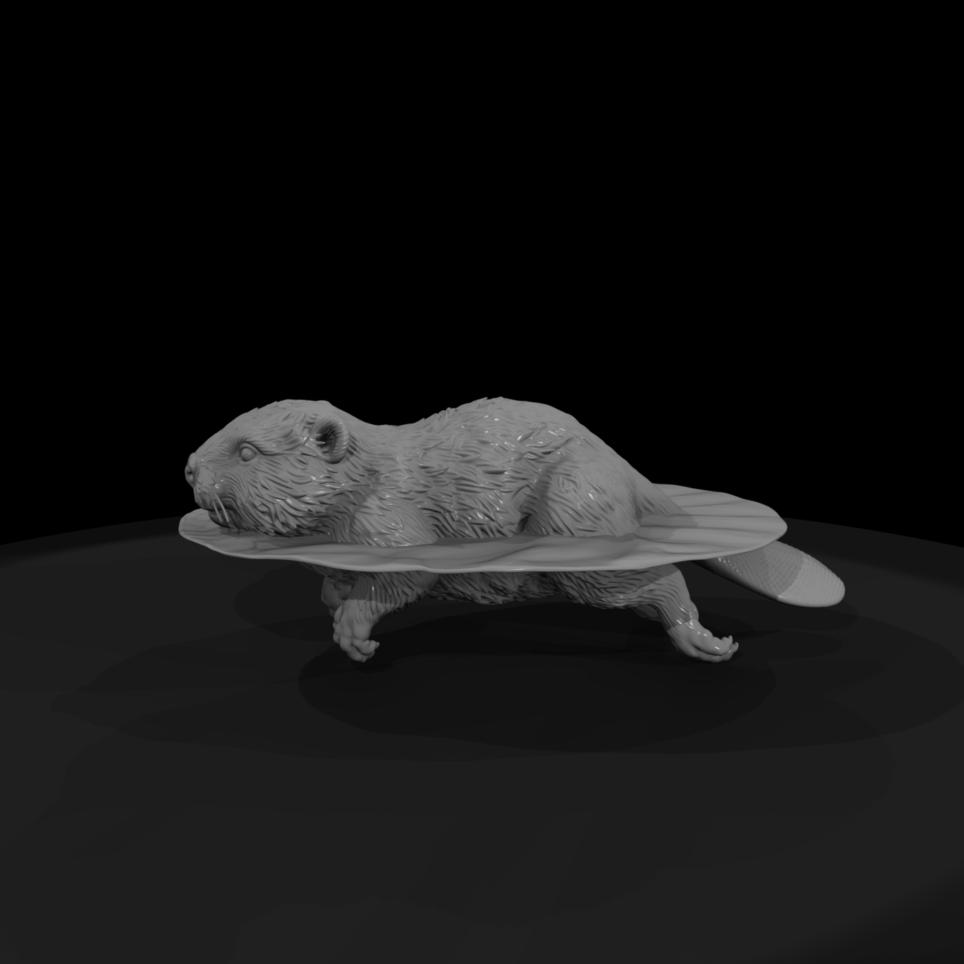 Adolescent Beaver