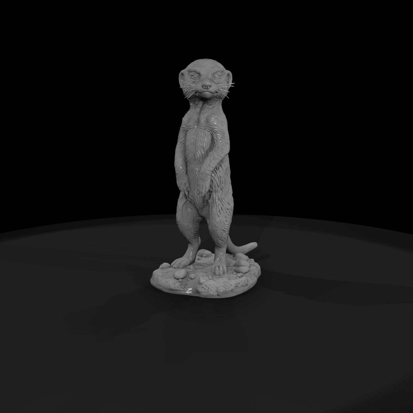 Meerkat Standing Sentry
