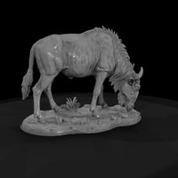 ant-227-blue-wildebeest-female — thumbnail 4