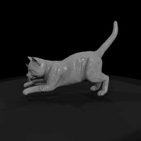 a-collection-of-housecats-kitten-9bb1aa91-meshref — thumbnail 4