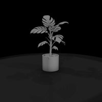 stylized-monochrome-potted-monstera-3d-model-4kilt — thumbnail 4
