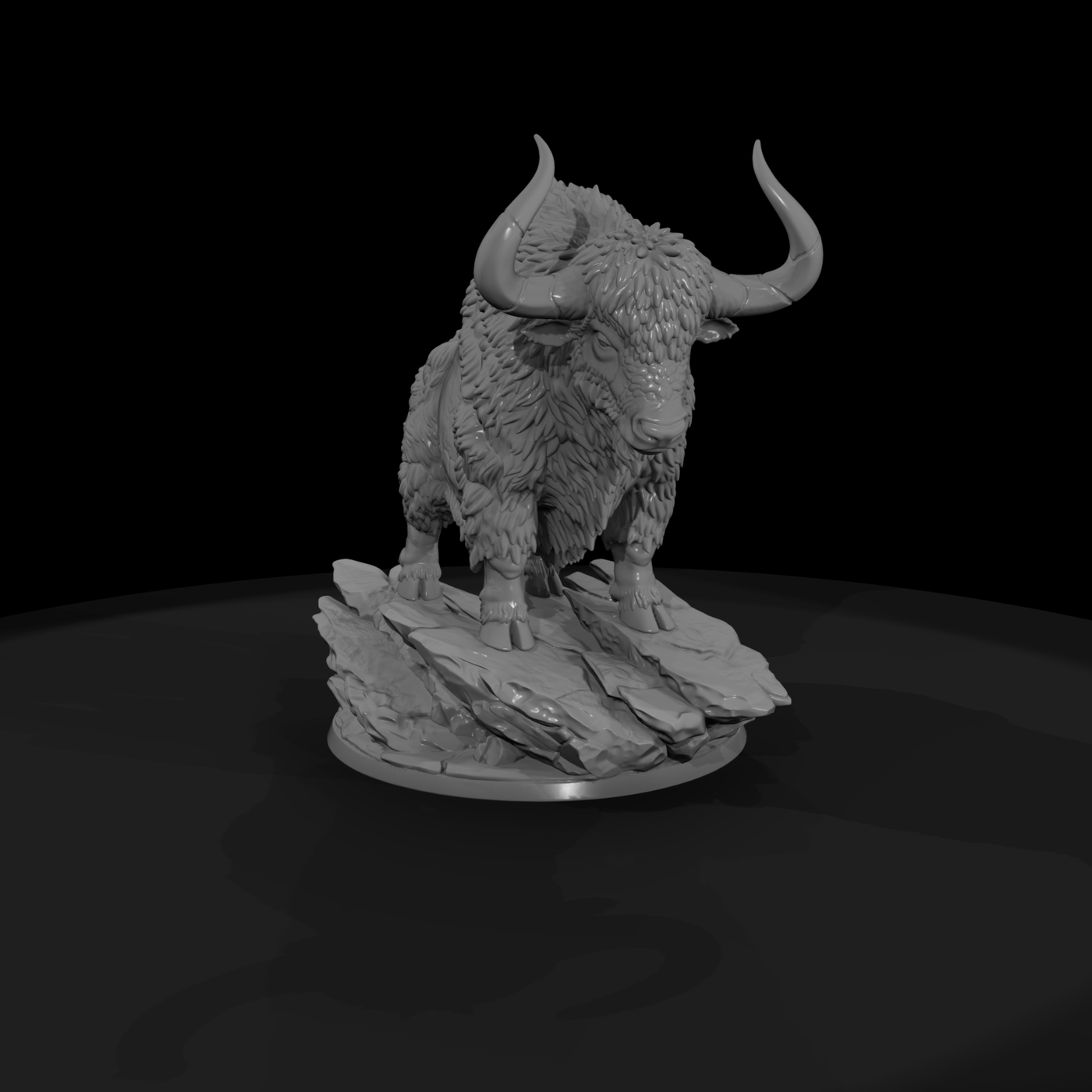 Shaggy Highland Yak