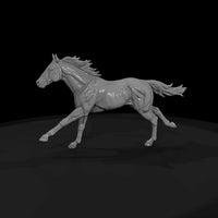ww-0286-animal-galloping-horse — thumbnail 4