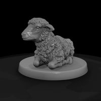 xmas-23-nativity-sheep-0118e8 — thumbnail 5