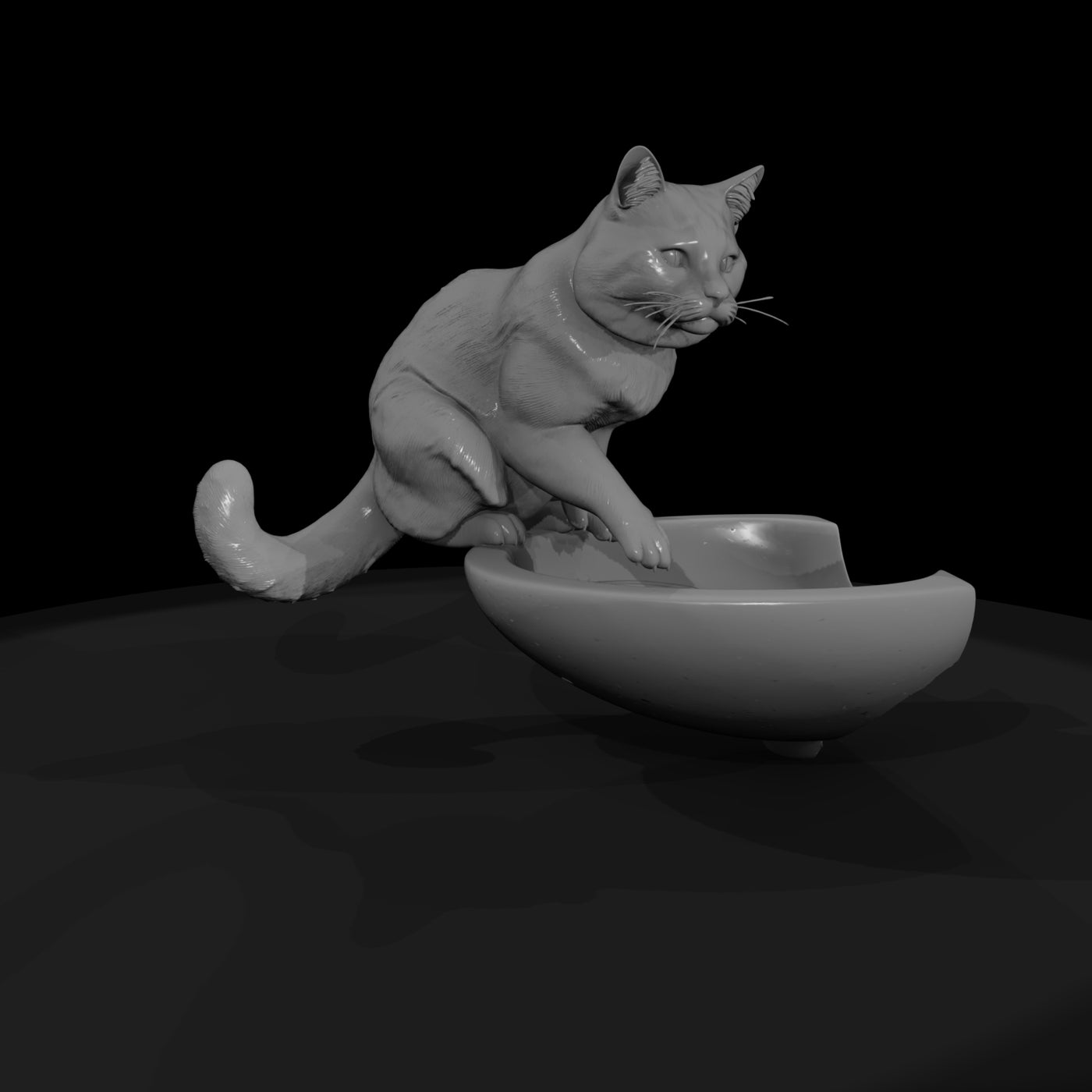 a-collection-of-housecats-turkish-0409da6c-meshref