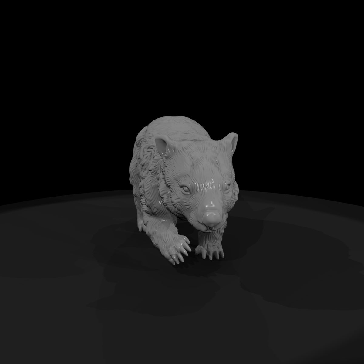 ant-270-common-wombat-adolescent