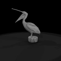 20260612-white-pelican-open-beak-6d77ccd036 — thumbnail 4