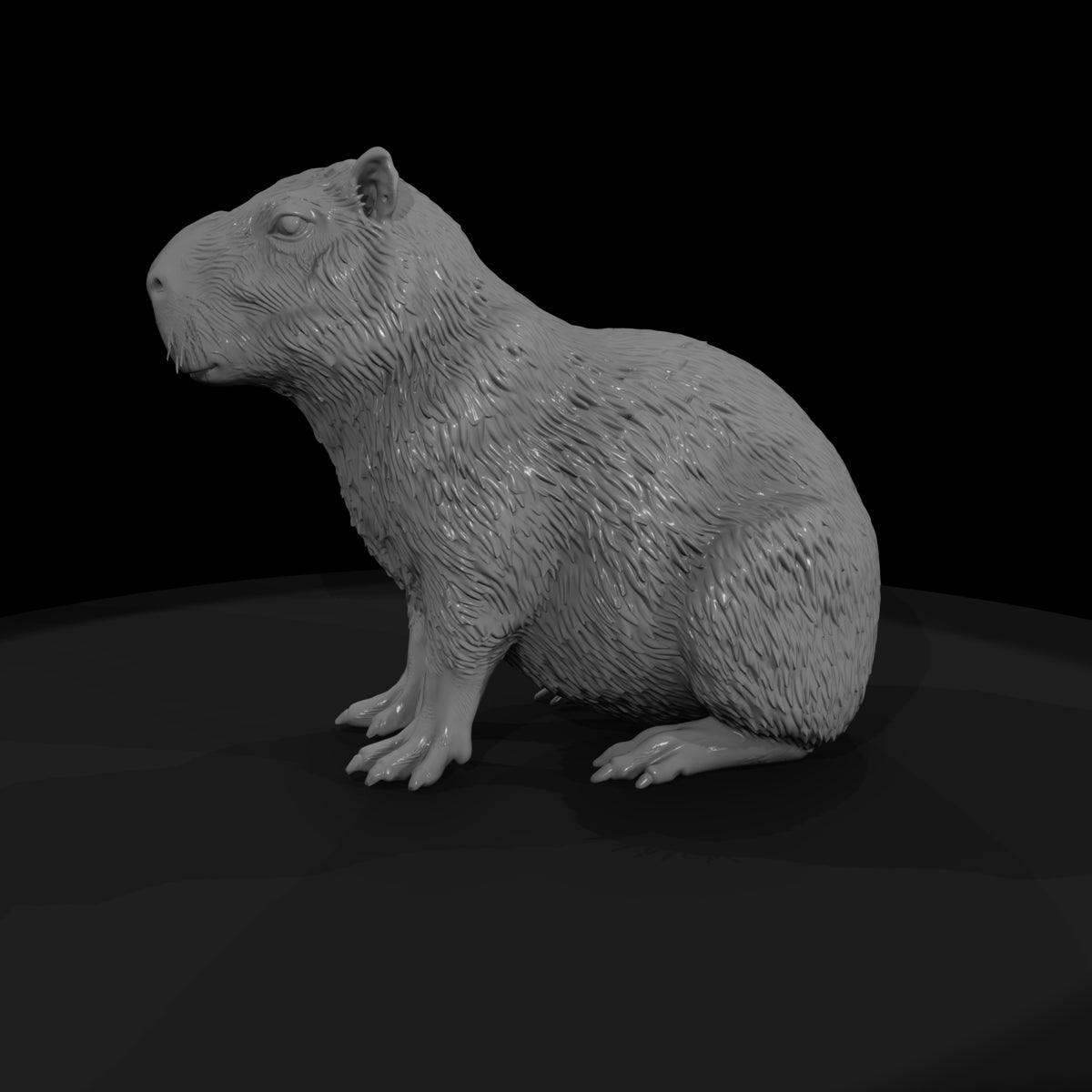 ant-256-capybara-male