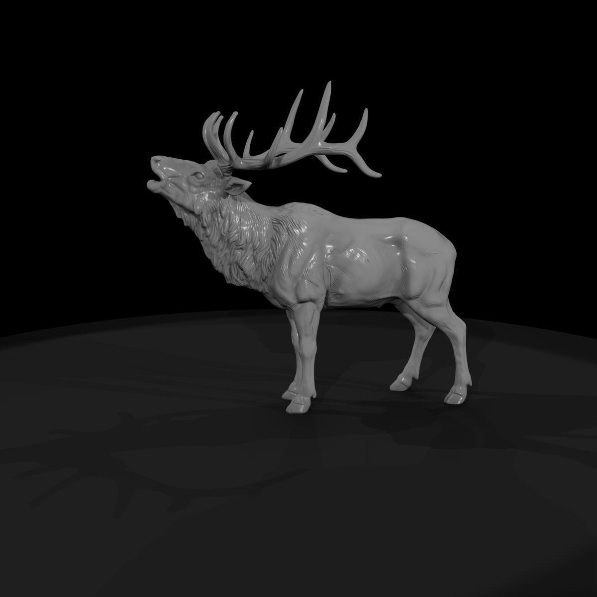 ww-0331-animal-elk