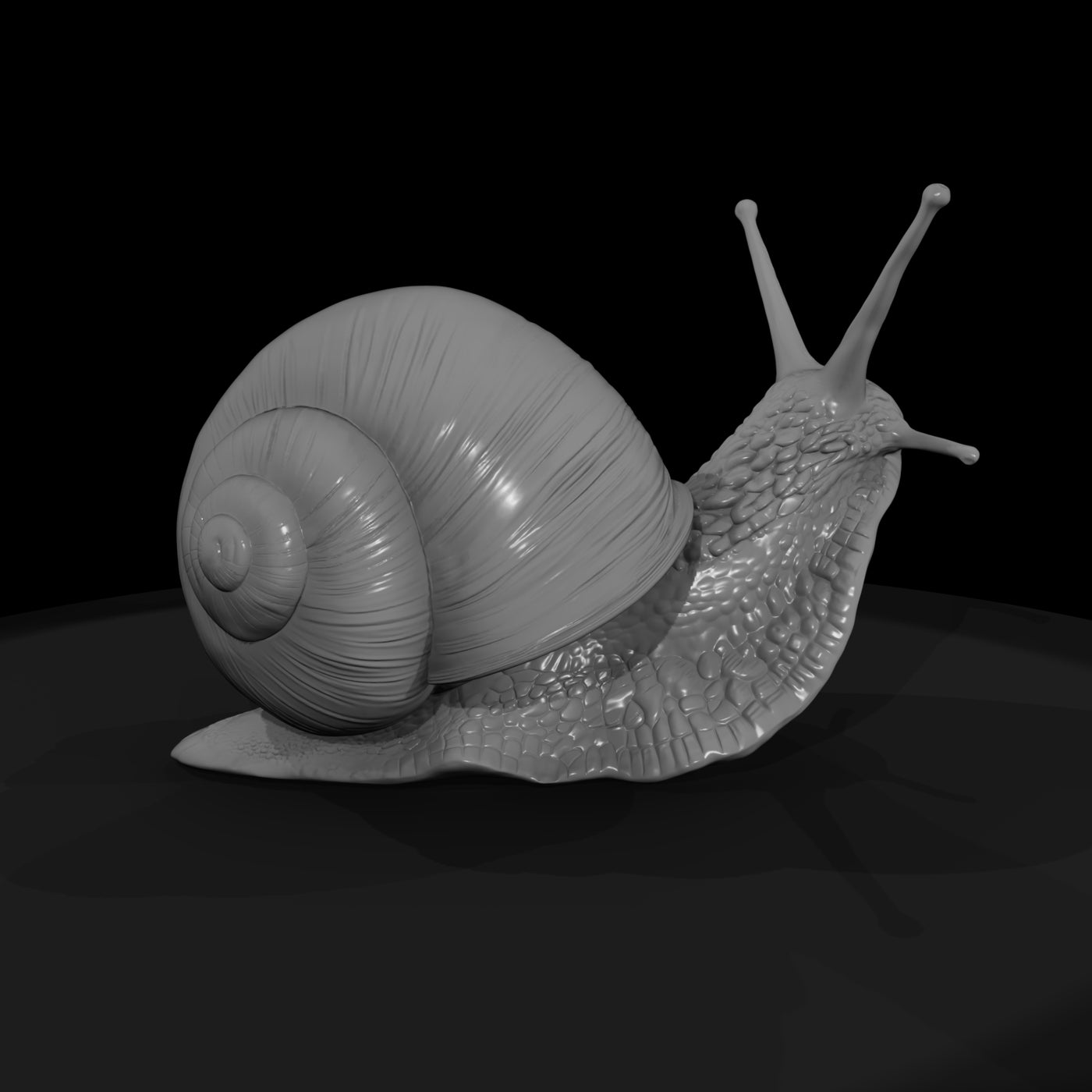 20260612-snail-on-green-leaf-a437ee3019