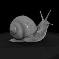 20260612-snail-on-green-leaf-a437ee3019 — thumbnail 4