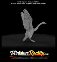 swan-landing — thumbnail 4