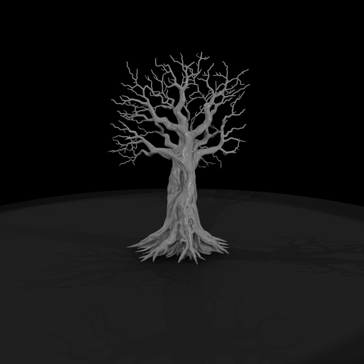20260612-gnarled-leafless-tree-roots-ed5ca2ae15