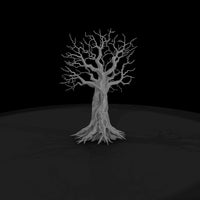 20260612-gnarled-leafless-tree-roots-ed5ca2ae15 — thumbnail 4