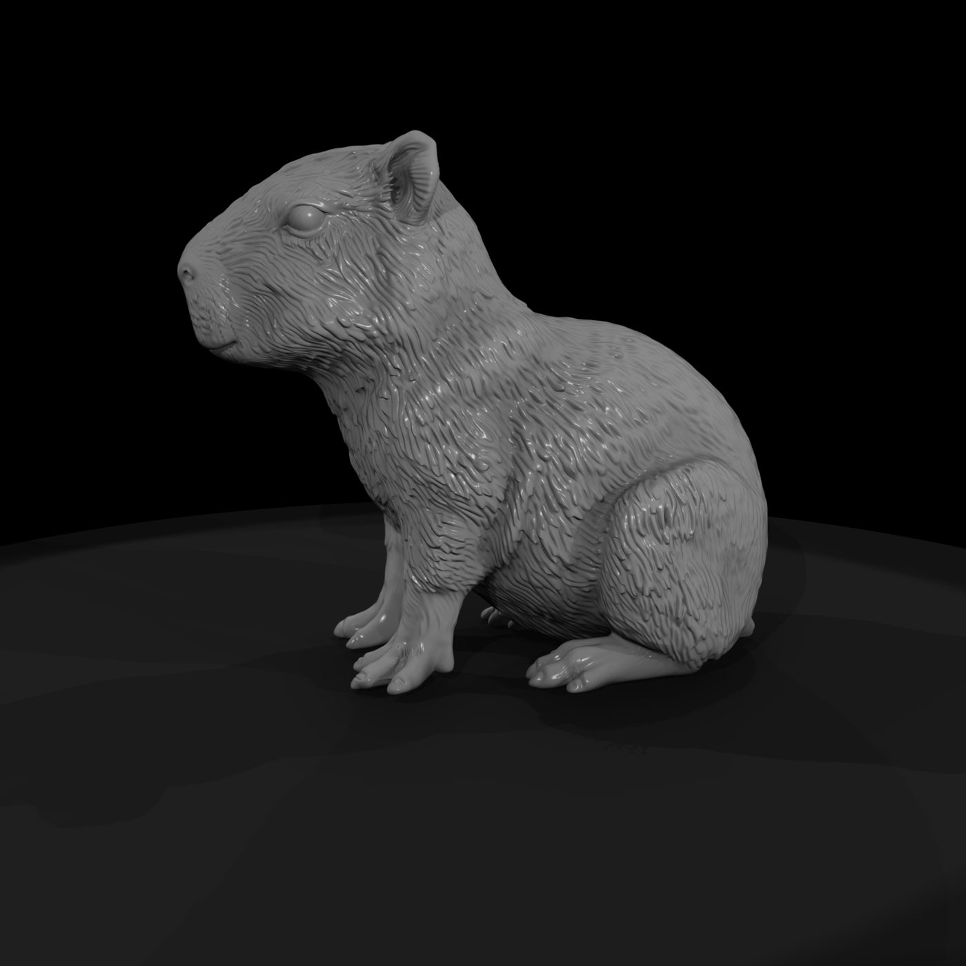 ant-258-capybara-adolescent