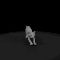 a-collection-of-housecats-gray-db27f8fd-meshref — thumbnail 4