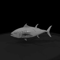 bluefin-tuna-diorama-miniature-ho-1-87-scale-590902 — thumbnail 5