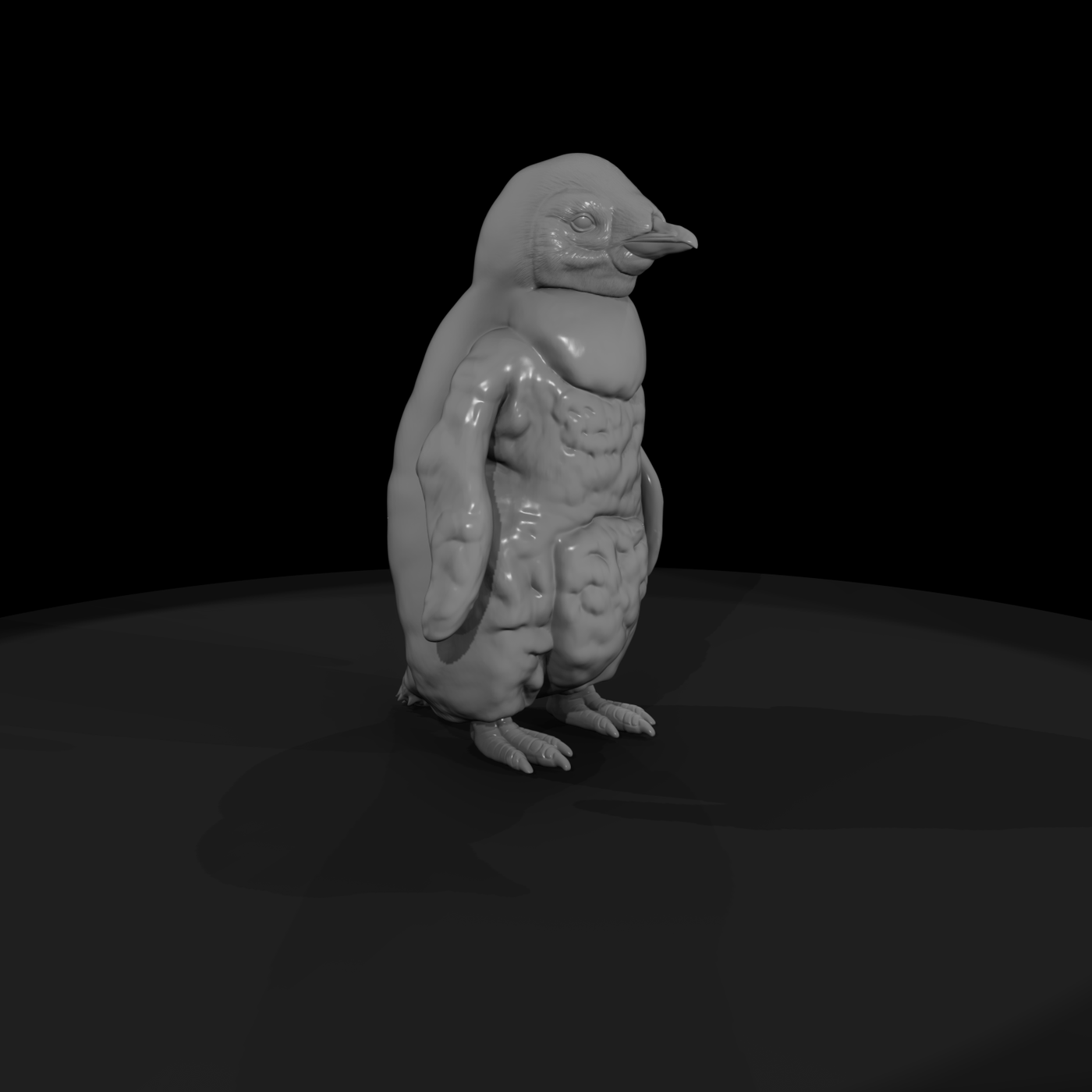 Adolescent King Penguin