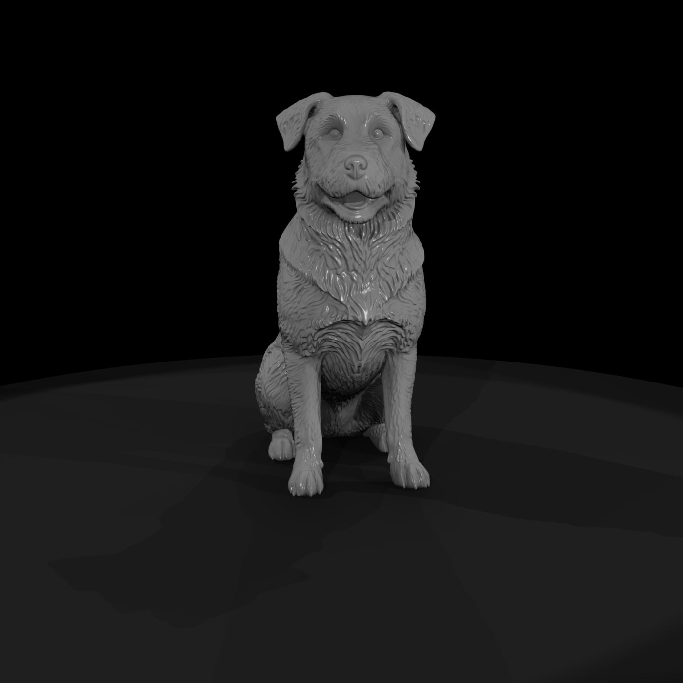 farm-dog