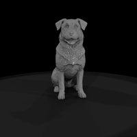 farm-dog — thumbnail 6