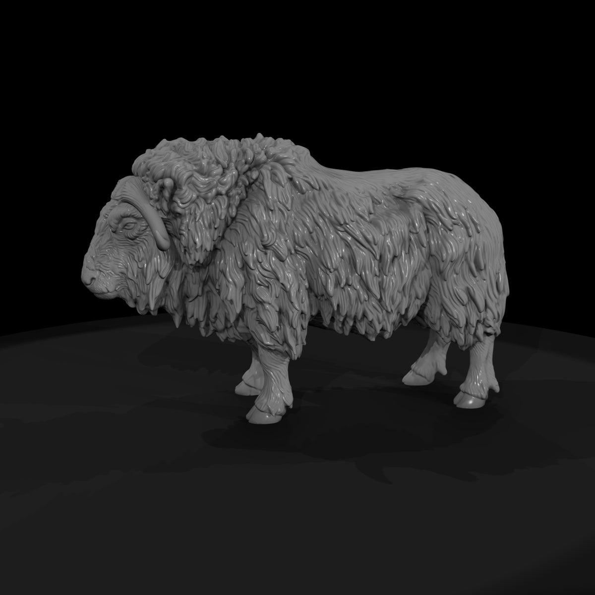 ant-272-musk-ox-female